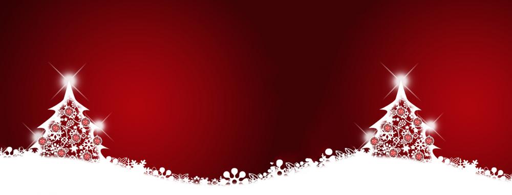Festive Season Opening Times